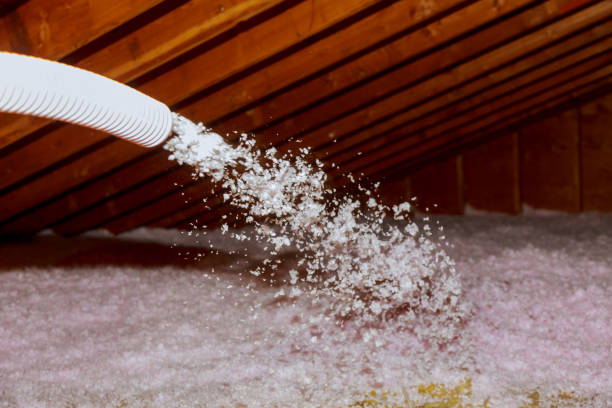 Best Cellulose Insulation  in Sesser, IL