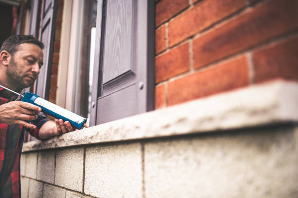 Best Cellulose Insulation  in Sesser, IL