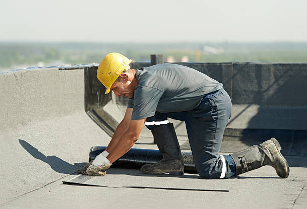 Best Insulation Replacement Services  in Sesser, IL