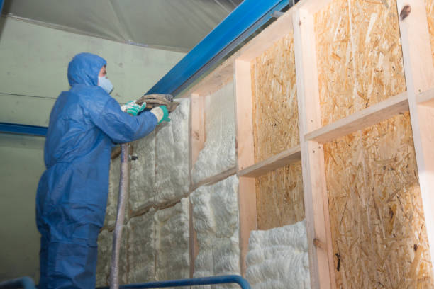 Best Residential Insulation Services  in Sesser, IL