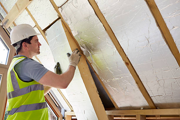 Best Professional Insulation Contractor  in Sesser, IL