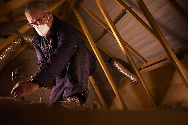 Best Insulation for New Construction  in Sesser, IL