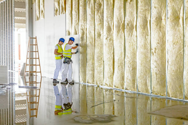 Best Insulation Removal  in Sesser, IL